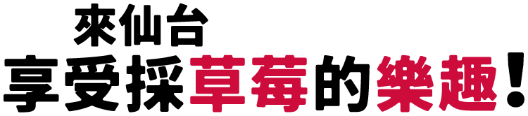 來仙台 享受採草莓的樂趣！
