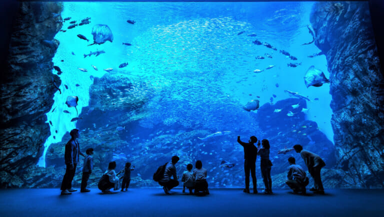 仙台うみの杜水族館